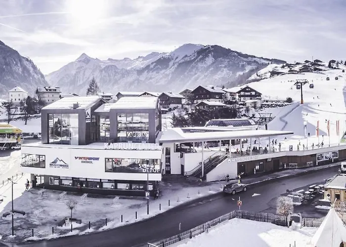 Mountain View 1-bedroom Apartment-top 1 アパート *